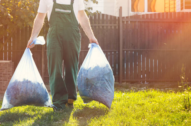 Best Shed Removal  in Annandale, MN